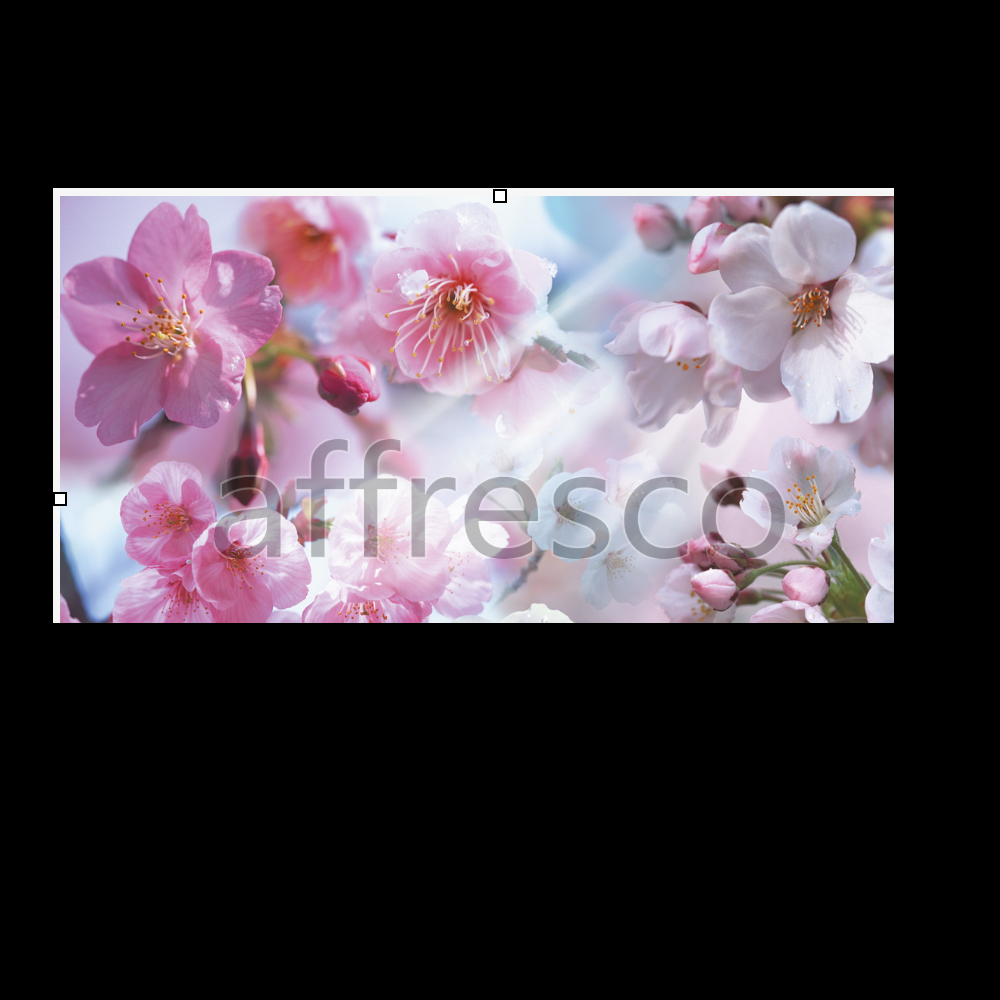Affresco 7066