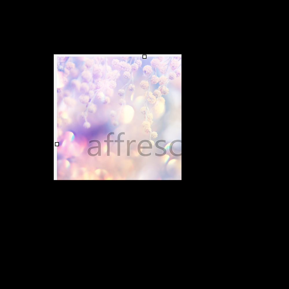 Affresco ID11623