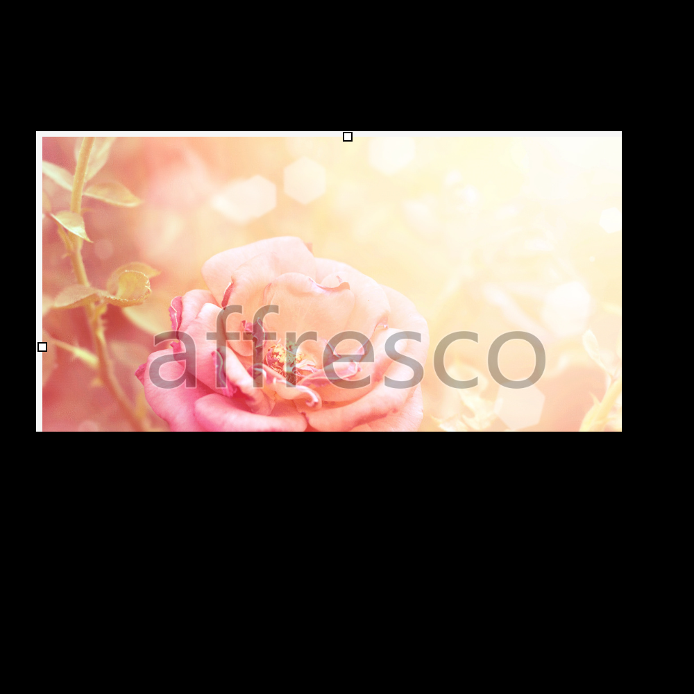 Affresco ID11723