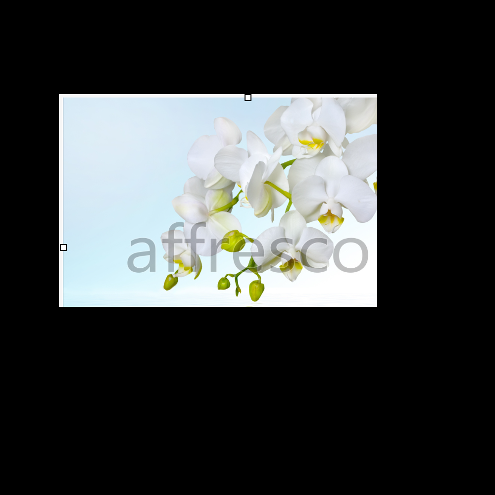 Affresco ID12673