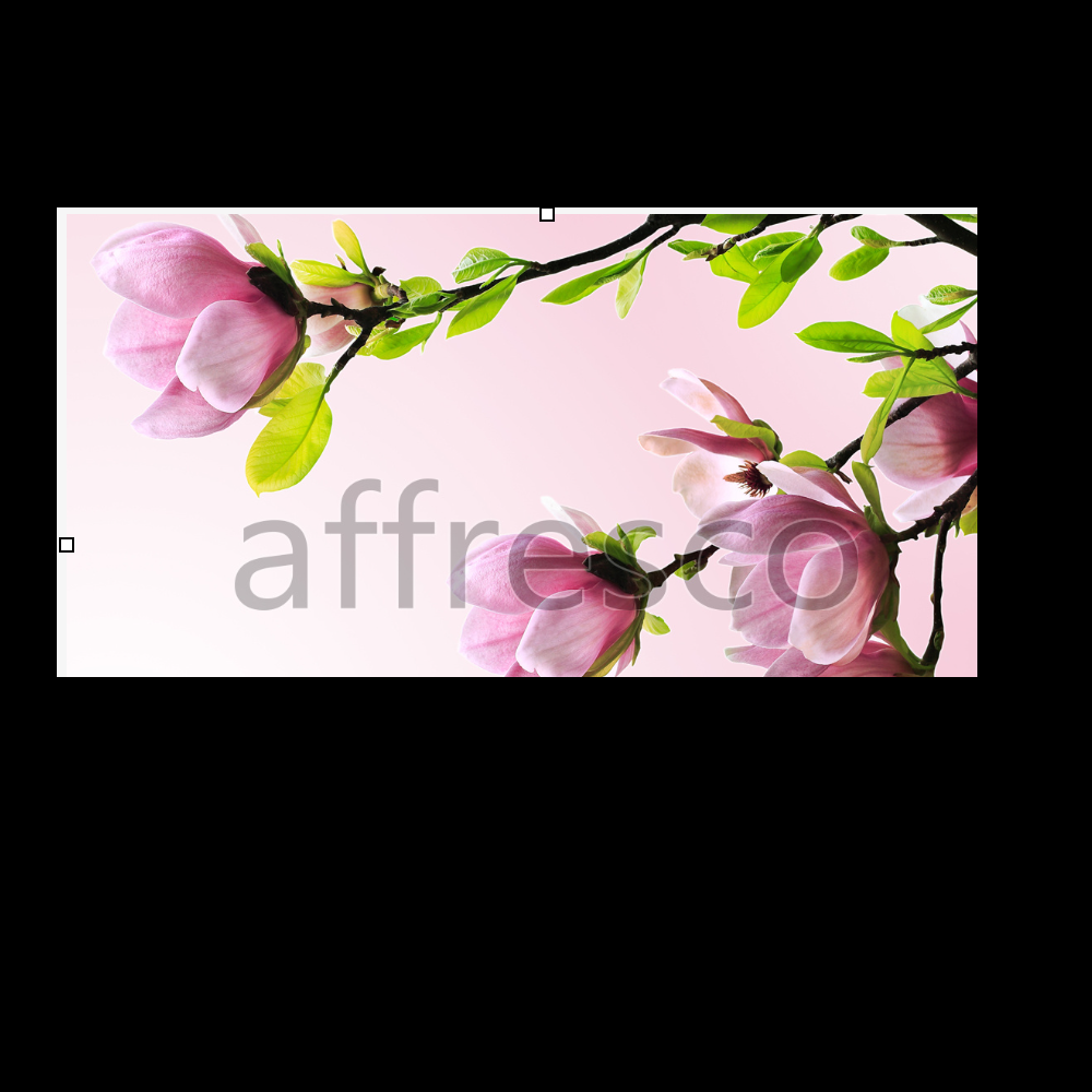 Affresco ID12676