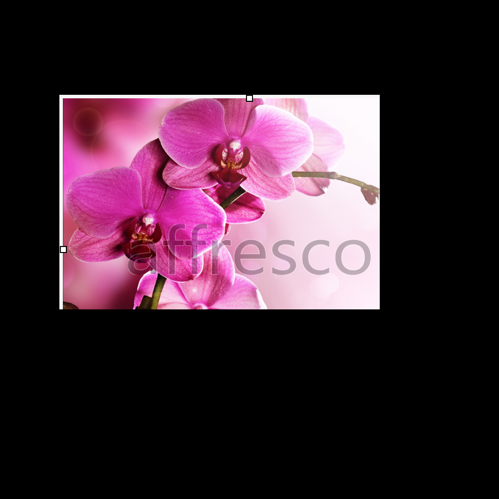Affresco ID12703