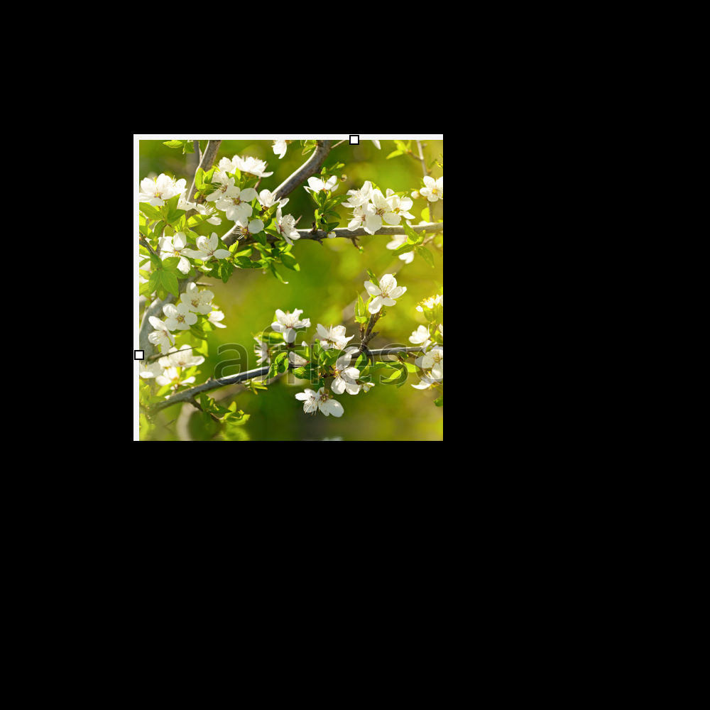 Affresco ID12706