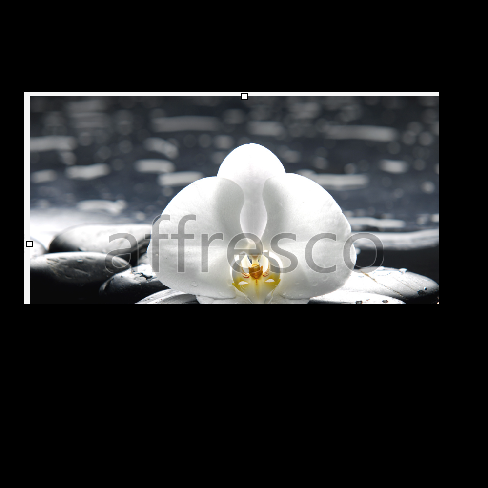 Affresco ID12710