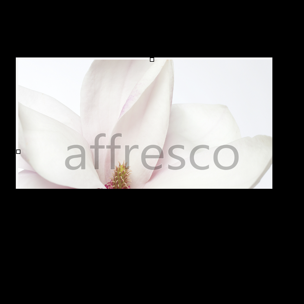 Affresco ID12779