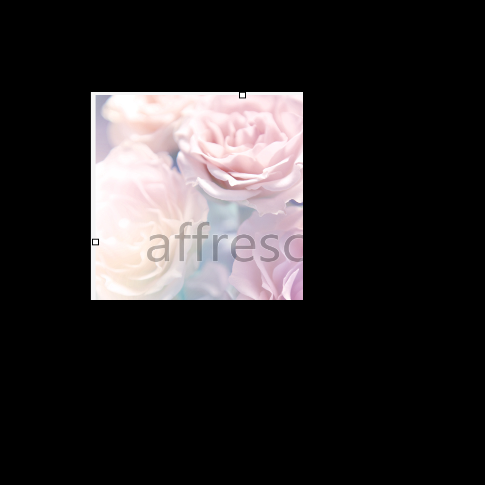 Affresco ID12798