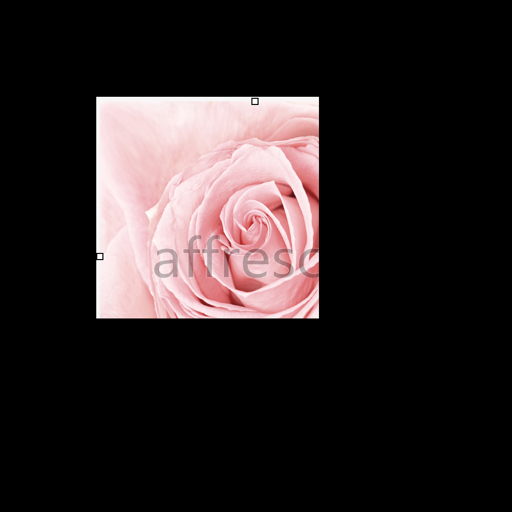 Affresco ID12825