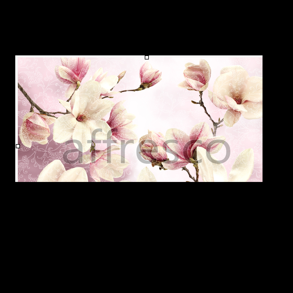 Affresco ID135589