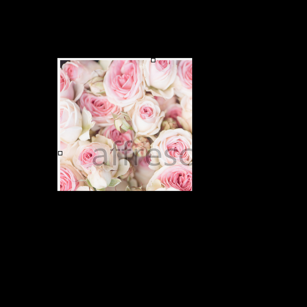 Affresco ID136406