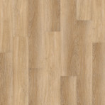 catalog