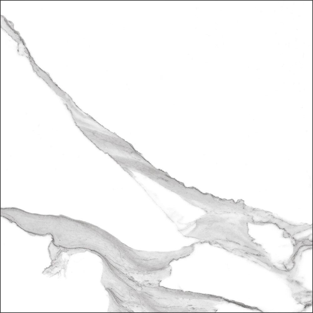Global Tile Anima 