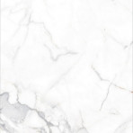catalog