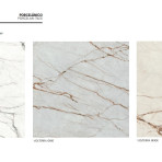 catalog
