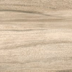 catalog