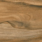 catalog