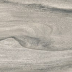 catalog