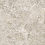 catalog