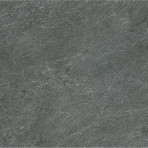 catalog