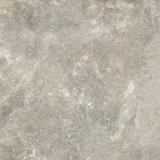 catalog