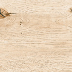 catalog