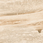 catalog