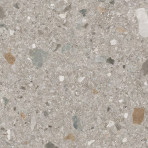 catalog