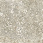 catalog