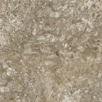 catalog