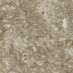 catalog