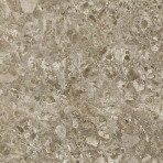catalog