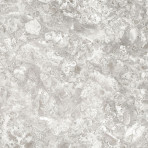 catalog