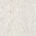 catalog