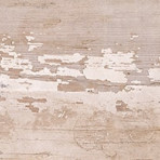 catalog