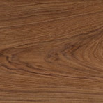 catalog