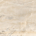 catalog