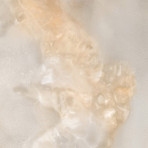 catalog