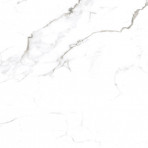 catalog