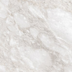 catalog
