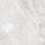 catalog
