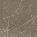 catalog