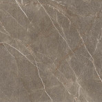 catalog