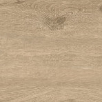 catalog
