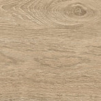 catalog