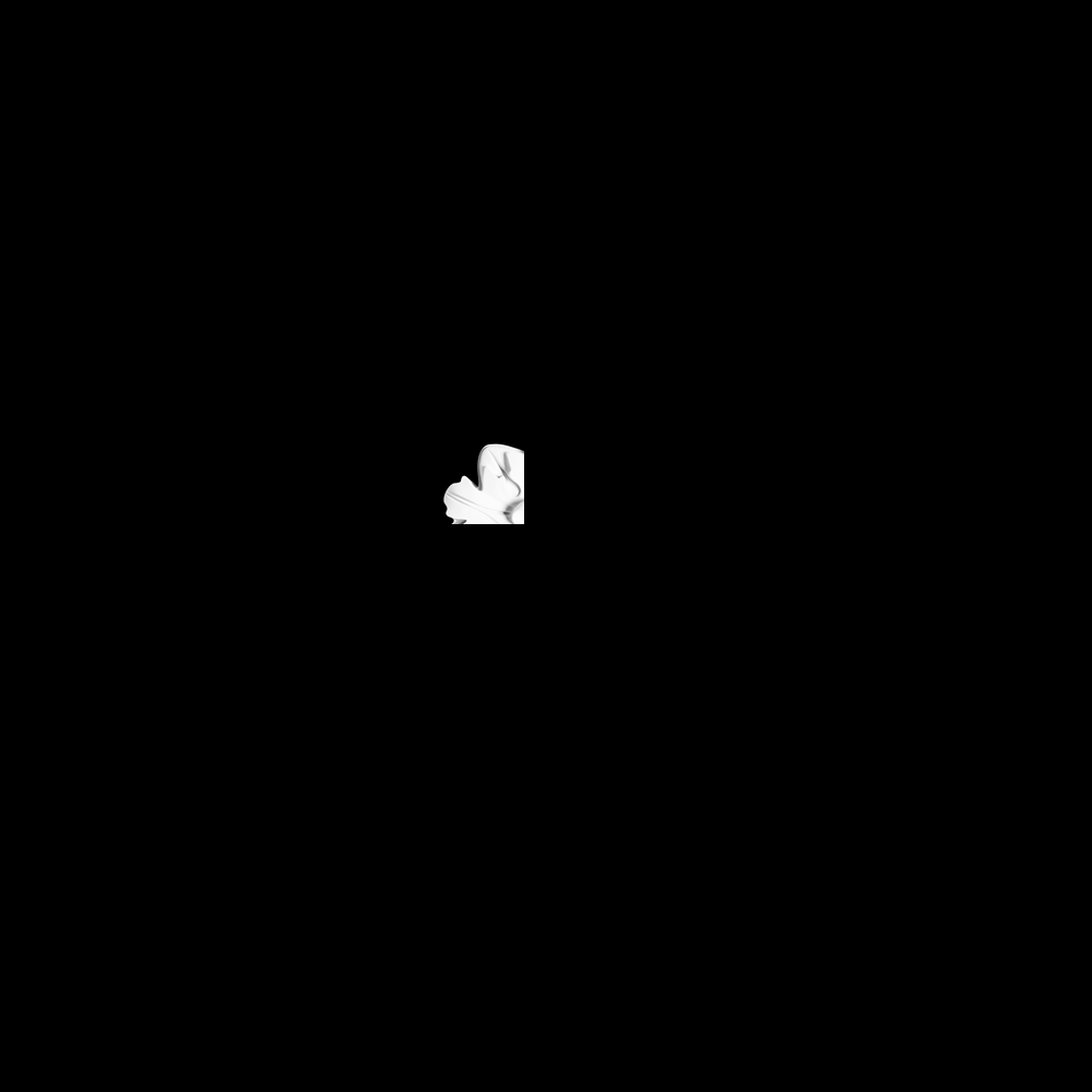 R12
