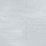 catalog